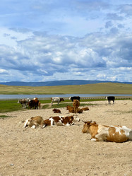 Similar image 21654450