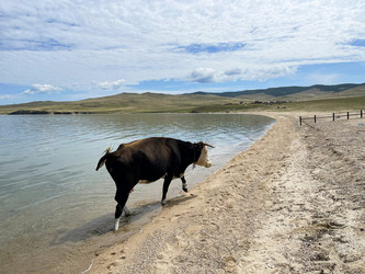 Similar image 21654458