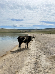 Similar image 21654663