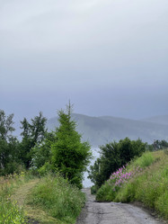 Similar image 21654664