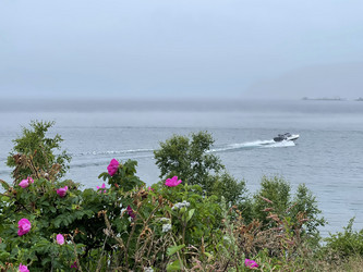 Similar image 21654665