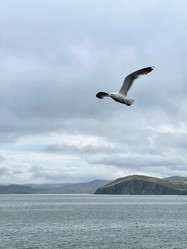 Similar image 21654666