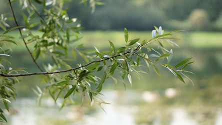 Similar image 21657521