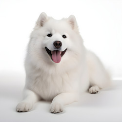 Similar image 21652141