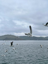 Similar image 21652241