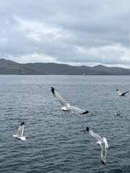 Similar image 21652244