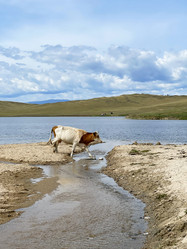 Similar image 21652247