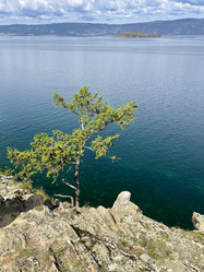 Similar image 21652252