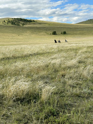 Similar image 21654320