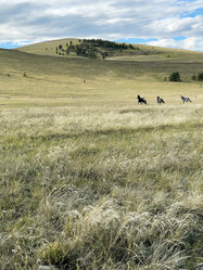 Similar image 21654321