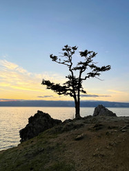 Similar image 21654342