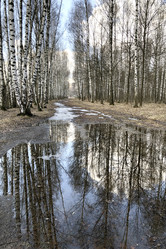 Similar image 21652258