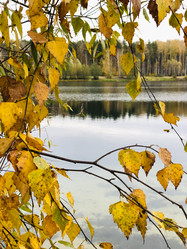 Similar image 21652259