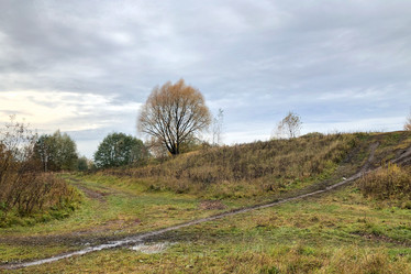 Similar image 21652260