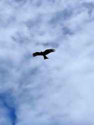 Similar image 21654671