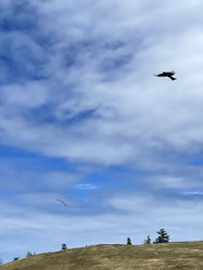 Similar image 21654672