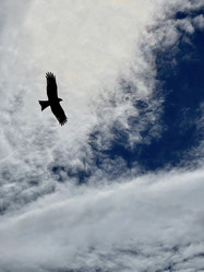 Similar image 21654674