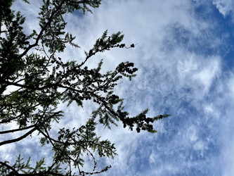 Similar image 21654691