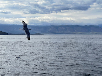 Similar image 21652264