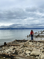 Similar image 21652271