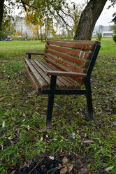 Similar image 21652277