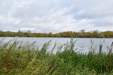 Similar image 21652278