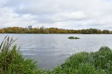 Similar image 21652354