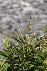 Similar image 21658741