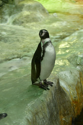 Similar image 21652363