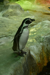 Similar image 21652364