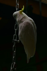 Similar image 21652365