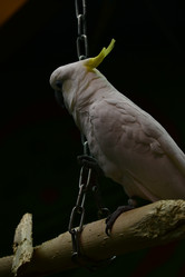 Similar image 21652366