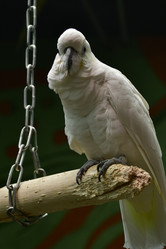 Similar image 21652367