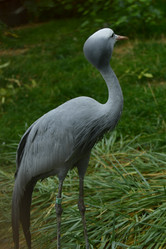 Similar image 21652368