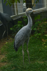 Similar image 21652369