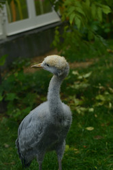 Similar image 21652370