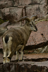 Similar image 21652373