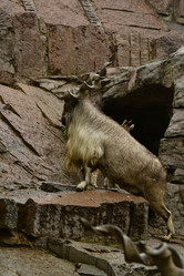 Similar image 21652374