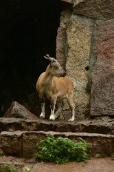 Similar image 21652375