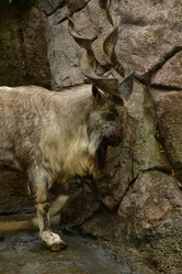 Similar image 21652376