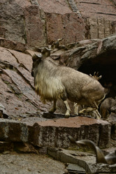 Similar image 21652377