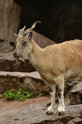 Similar image 21652378