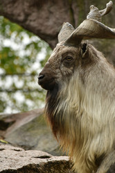 Similar image 21652379