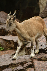 Similar image 21652380