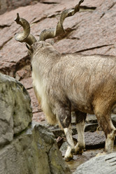 Similar image 21652382