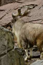 Similar image 21652383