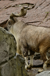 Similar image 21652384