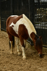 Similar image 21652385