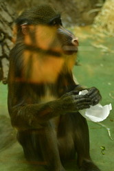 Similar image 21652386