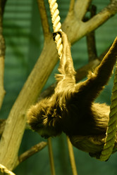 Similar image 21652388